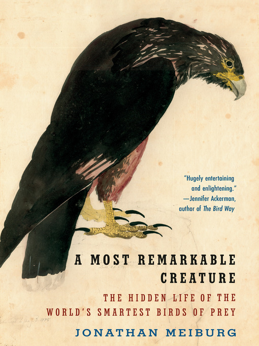 Title details for A Most Remarkable Creature by Jonathan Meiburg - Wait list